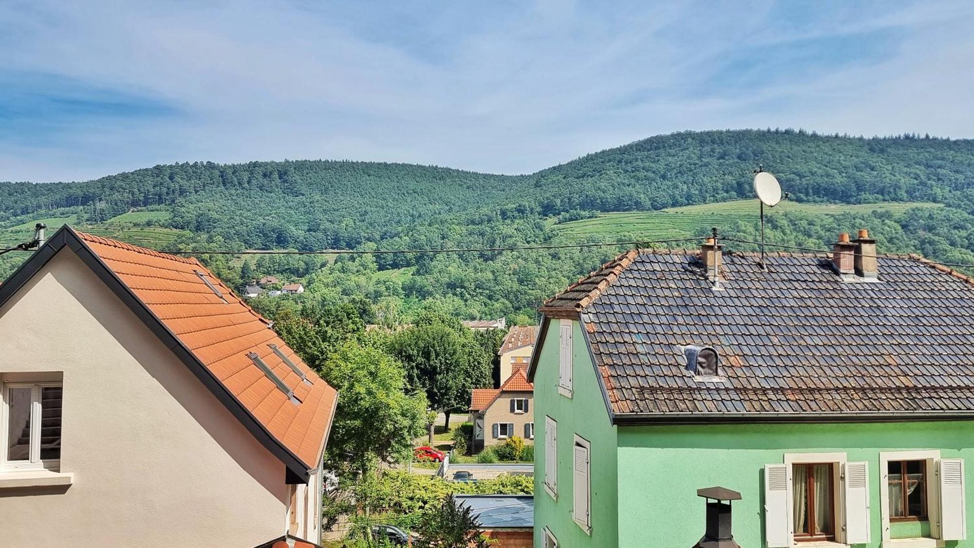 La Buhl Verte - Chic Et Moderne - Calme - Fibre - Relax Bnb Экстерьер фото